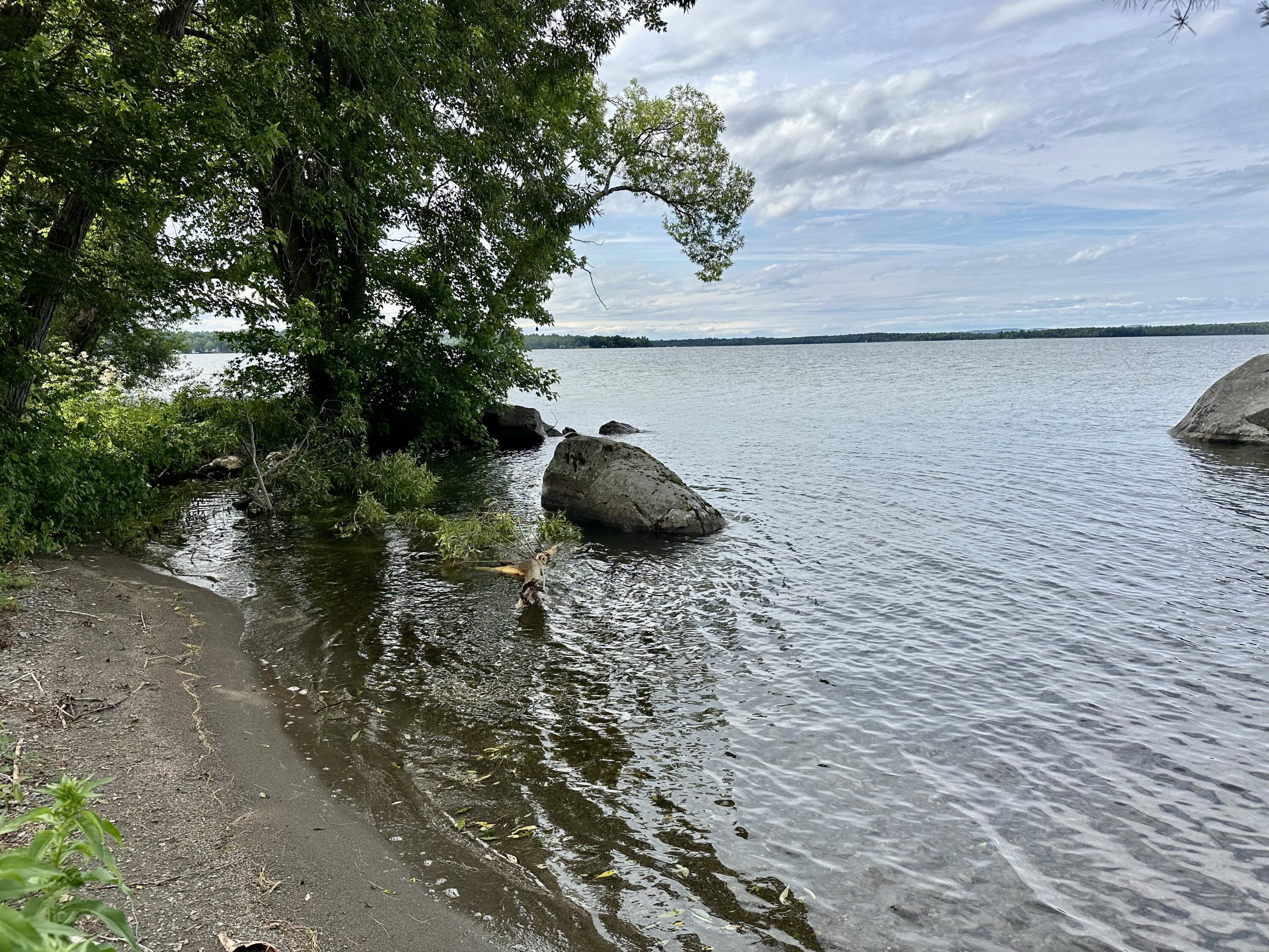 277 Grove Street Newport, ME 04953 - Photo 3 of 19 IMG_3531