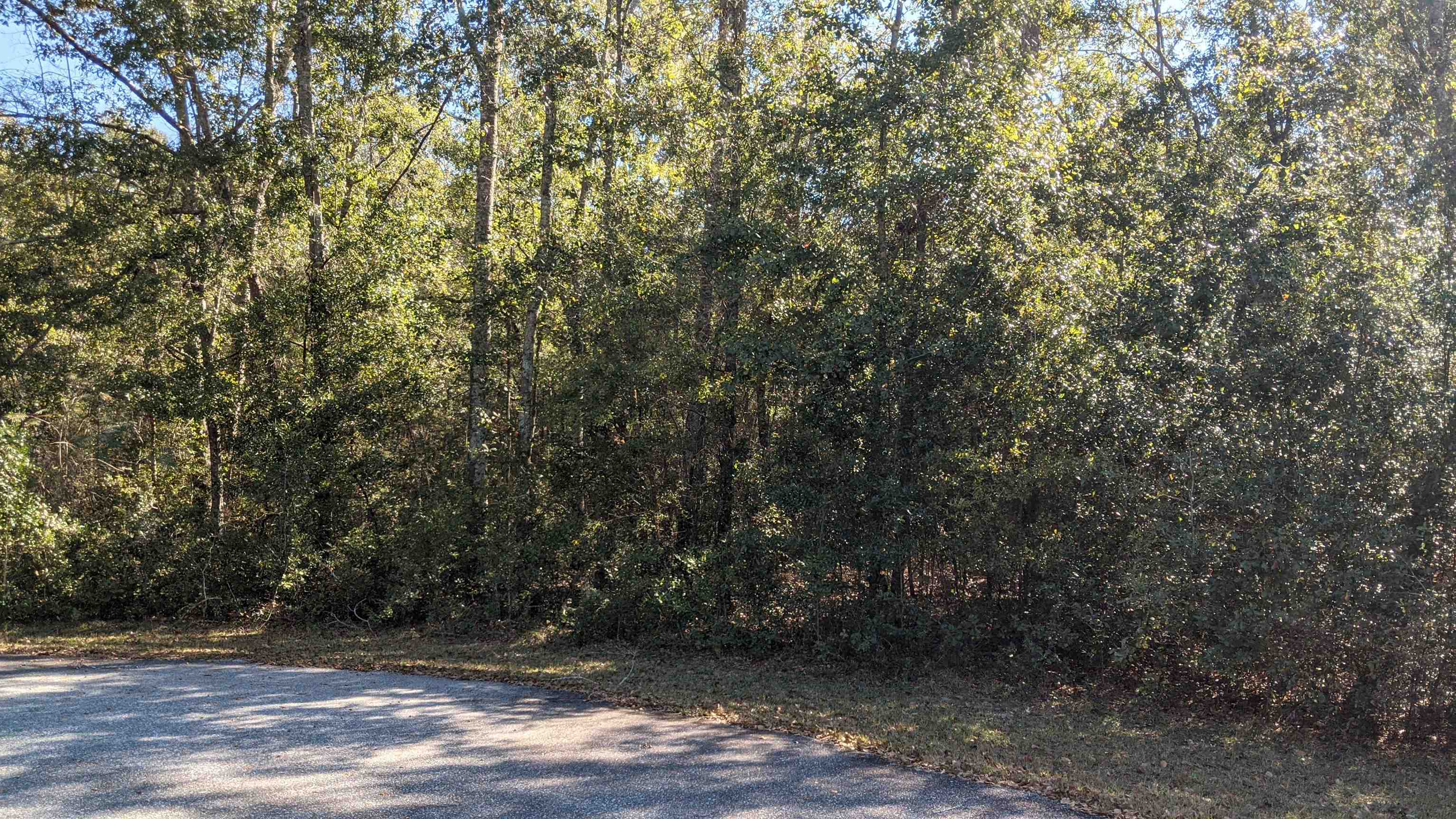 Northeast Ginger Trail Lee, FL 32059 - Photo 4 of 13