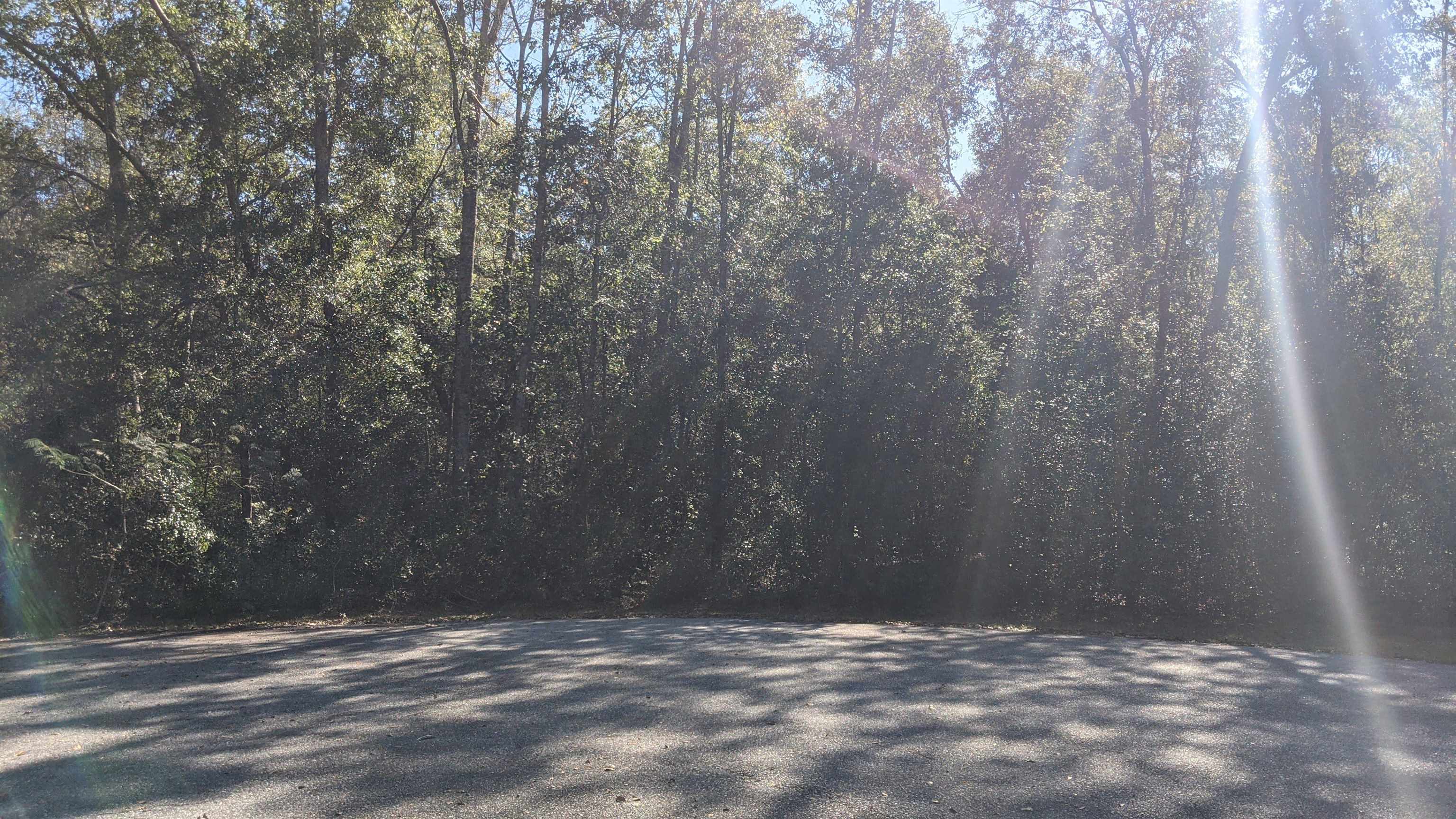 Northeast Ginger Trail Lee, FL 32059 - Photo 5 of 13
