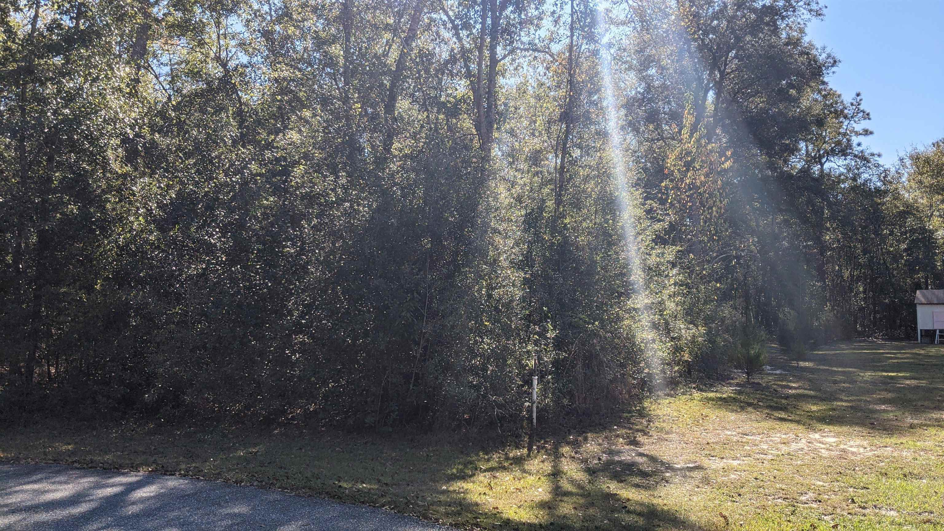 Northeast Ginger Trail Lee, FL 32059 - Photo 6 of 13
