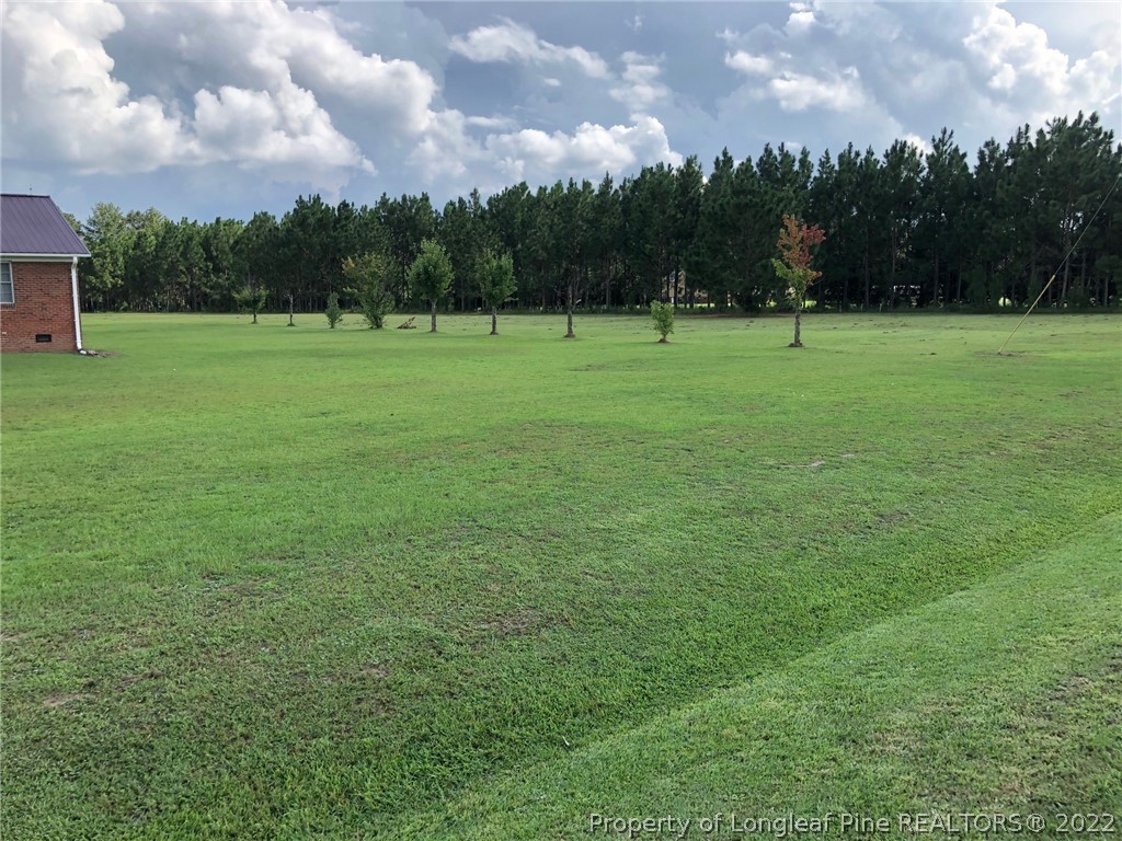 1803 Ward Store Road Fairmont, NC 28340 - Photo 2 of 27 Gallery Image 2