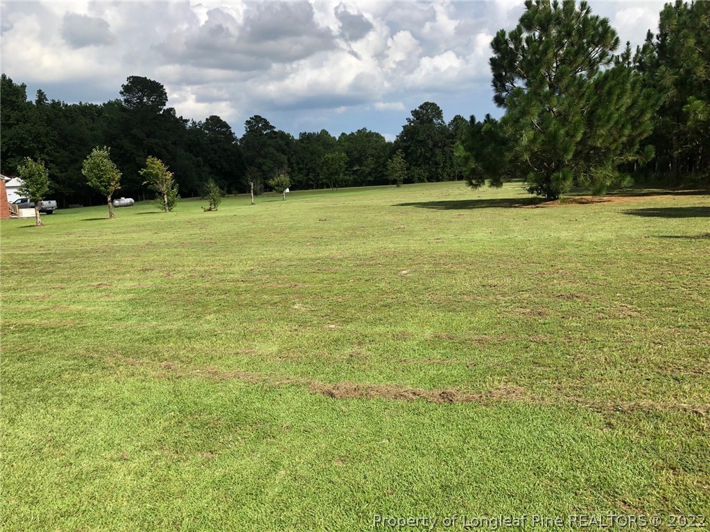 1803 Ward Store Road Fairmont, NC 28340 - Photo 4 of 27 Gallery Image 4