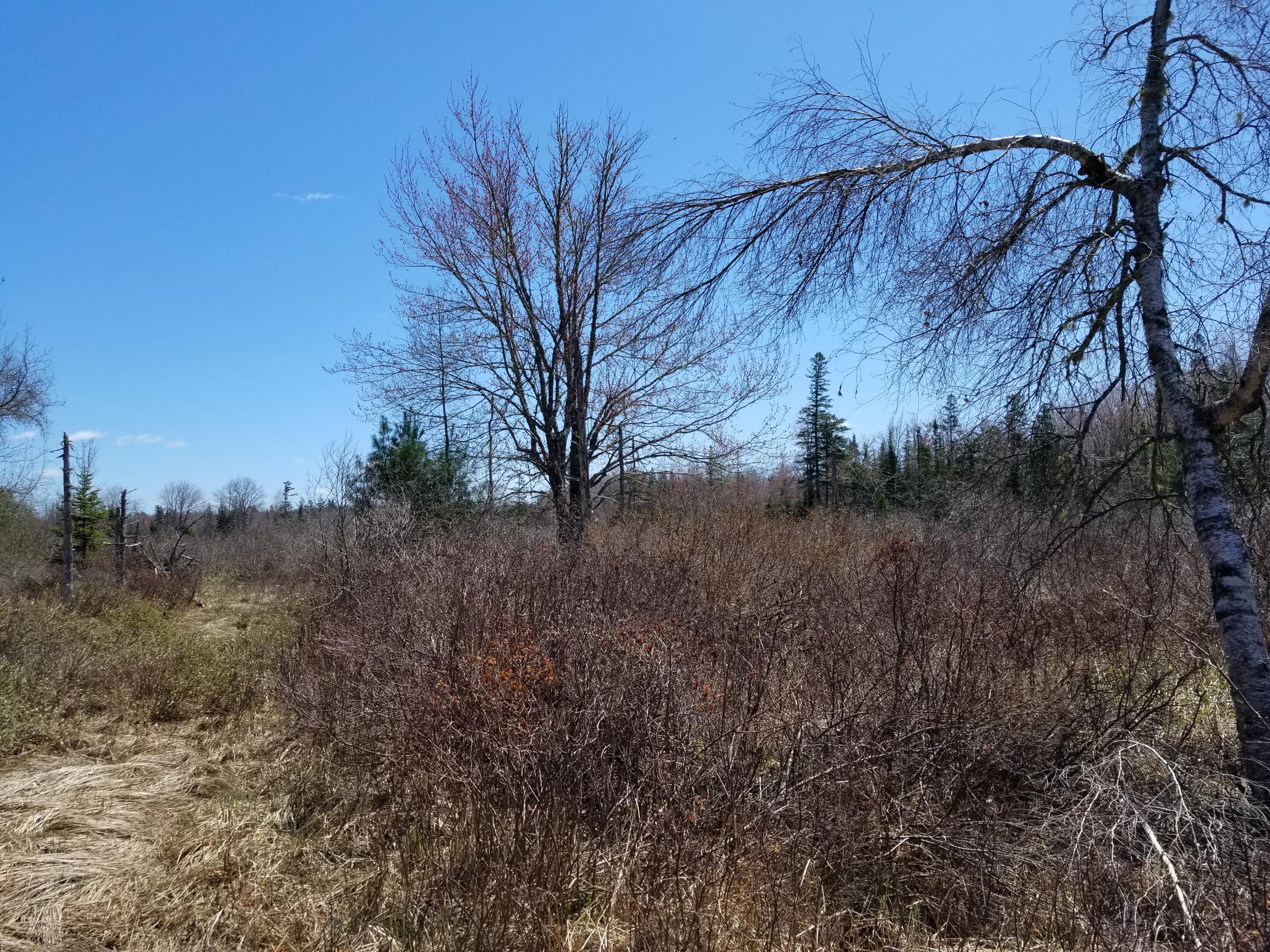 160 Southern Bay Road Penobscot, ME 04476 - Photo 31 of 62 31 meadow view