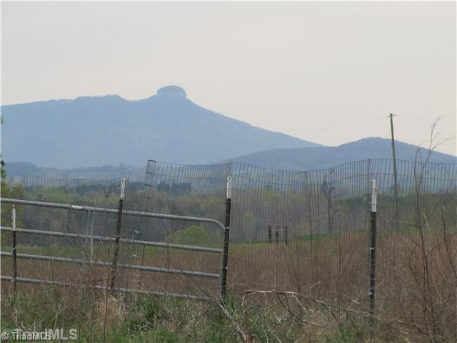 3635 Smithtown Road East Bend, NC 27018 - Photo 13 of 13 Land/Lot. Breathtaking Mountain views.