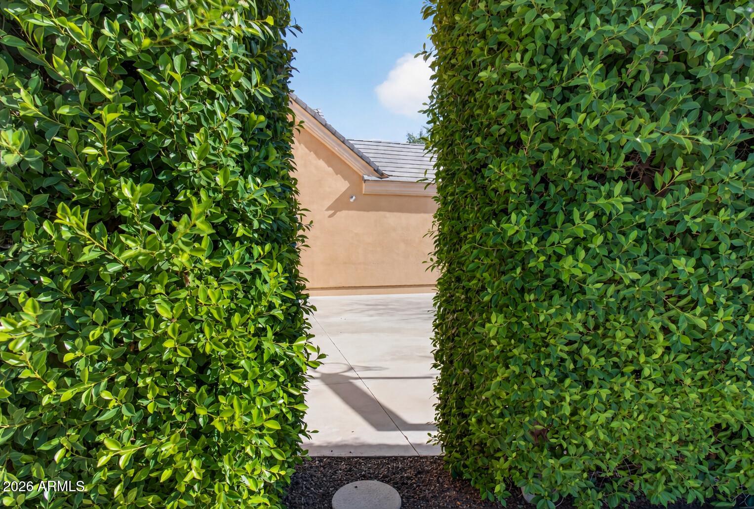 2918 East Waterman Way Gilbert, AZ 85297 - Photo 86 of 113 Hedges to sports court