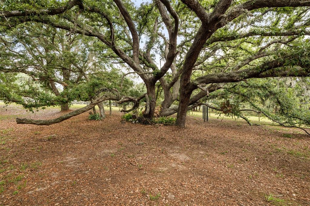 16104 Sandhill Road Winter Garden, FL 34787 - Photo 8 of 36