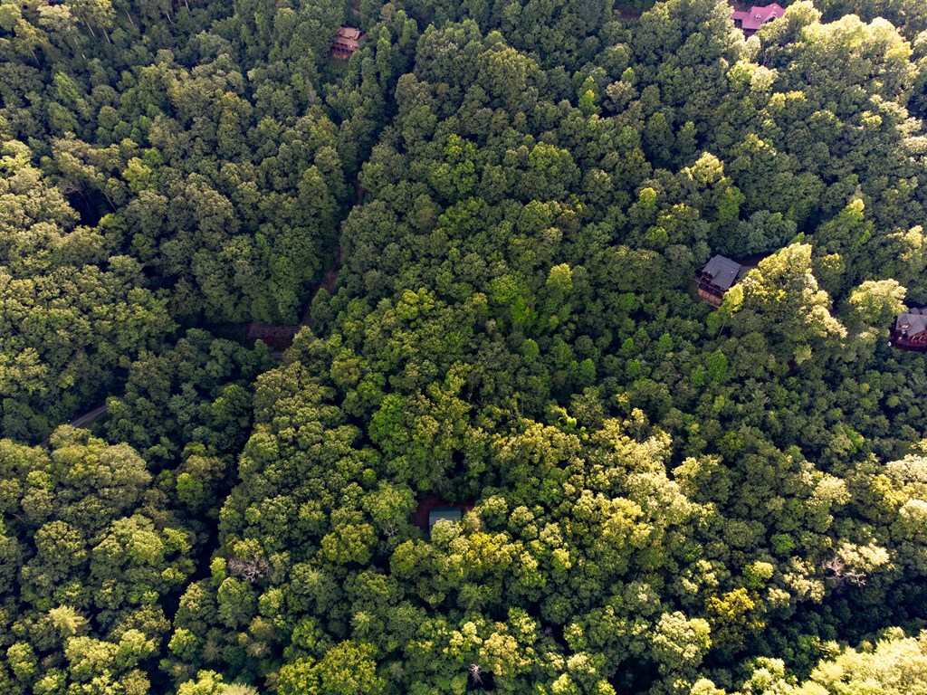 Lot 18 Cub Trail Cherry Log, GA 30522 - Photo 16 of 17