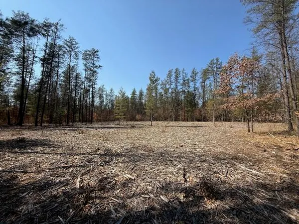 $45,000 | 5209 South Nelson Road, Idlewild, MI 49642