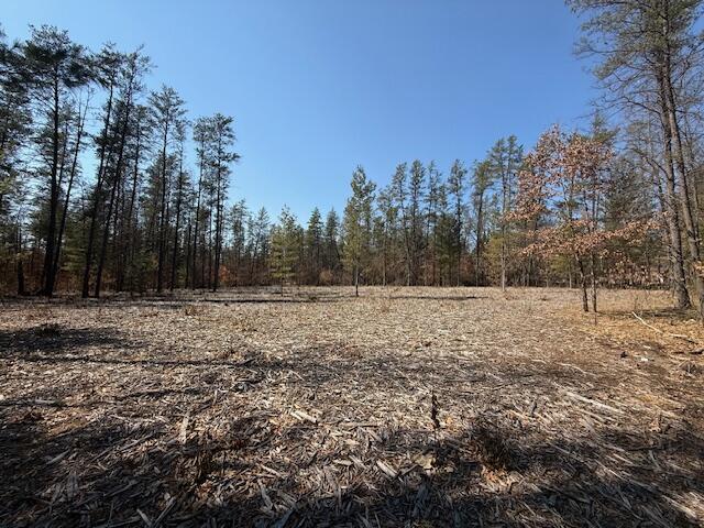 5209 South Nelson Road Idlewild, MI 49642 - Photo 1 of 15 main