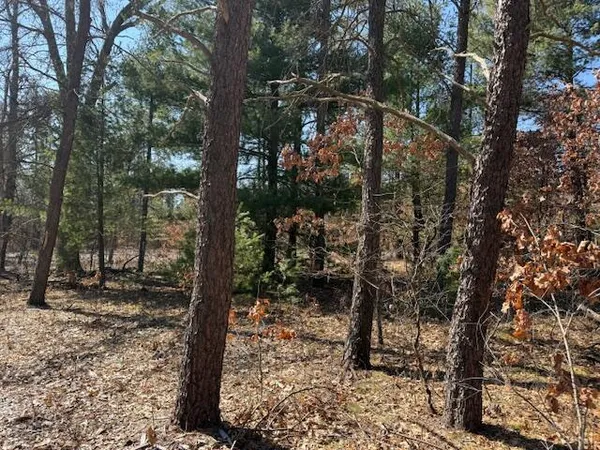 $45,000 | 5209 South Nelson Road, Idlewild, MI 49642