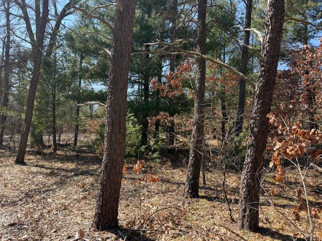 5209 South Nelson Road Idlewild, MI 49642 - Photo 11 of 15 IMG_5530