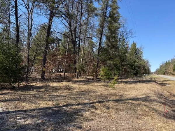 $45,000 | 5209 South Nelson Road, Idlewild, MI 49642
