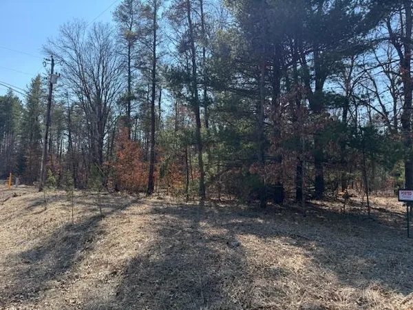 $45,000 | 5209 South Nelson Road, Idlewild, MI 49642