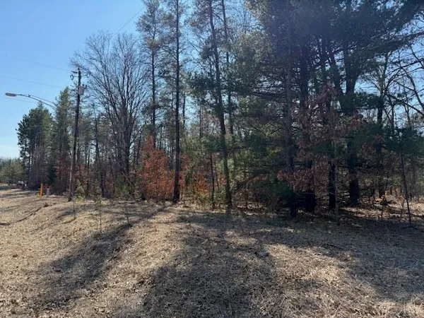 $45,000 | 5209 South Nelson Road, Idlewild, MI 49642