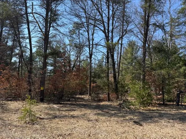 $45,000 | 5209 South Nelson Road, Idlewild, MI 49642