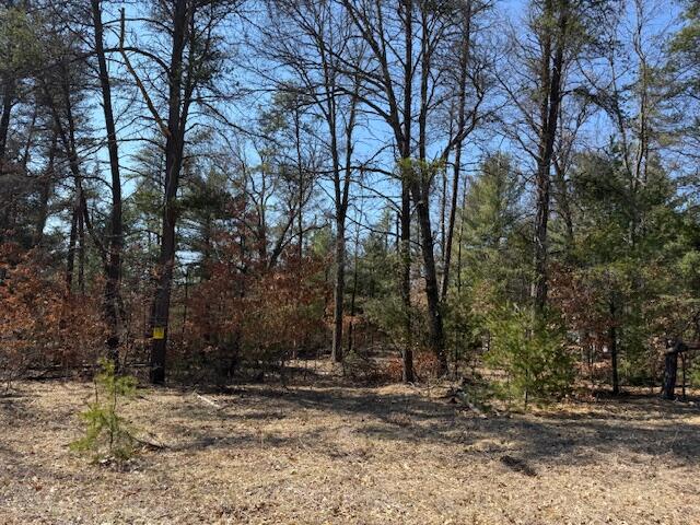 5209 South Nelson Road Idlewild, MI 49642 - Photo 15 of 15 IMG_5536