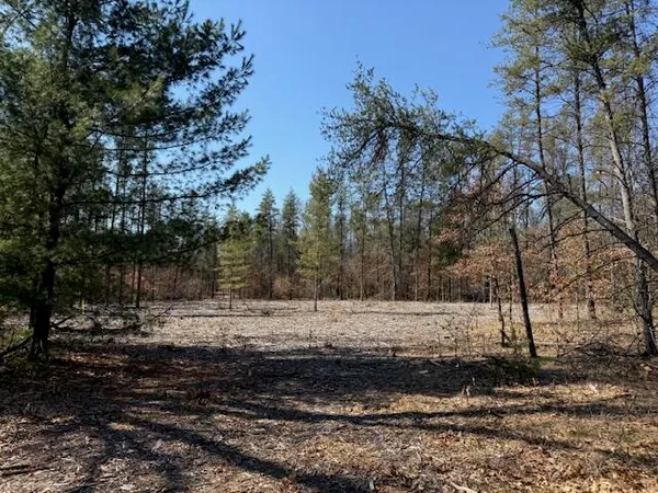 $45,000 | 5209 South Nelson Road, Idlewild, MI 49642