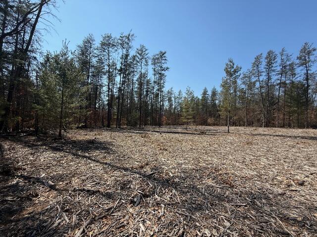 5209 South Nelson Road Idlewild, MI 49642 - Photo 3 of 15 IMG_5521