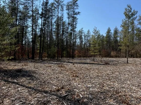 $45,000 | 5209 South Nelson Road, Idlewild, MI 49642