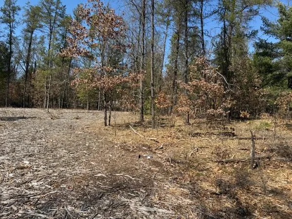 $45,000 | 5209 South Nelson Road, Idlewild, MI 49642