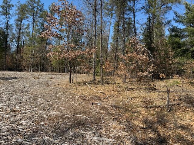 5209 South Nelson Road Idlewild, MI 49642 - Photo 5 of 15 IMG_5524