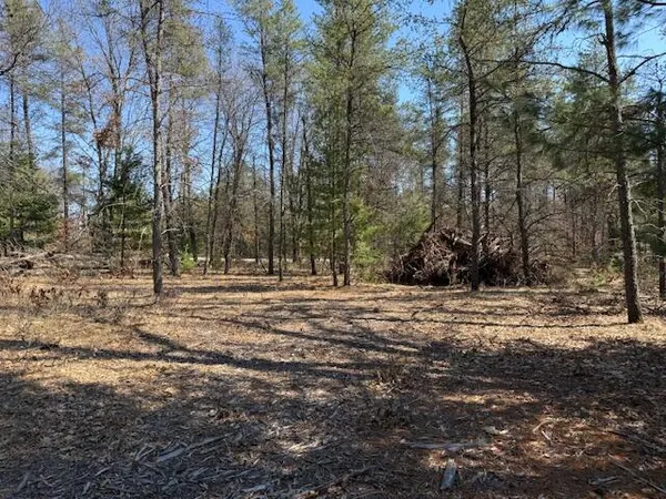 $45,000 | 5209 South Nelson Road, Idlewild, MI 49642