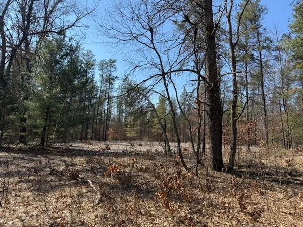 $45,000 | 5209 South Nelson Road, Idlewild, MI 49642