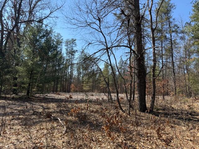 5209 South Nelson Road Idlewild, MI 49642 - Photo 7 of 15 IMG_5526