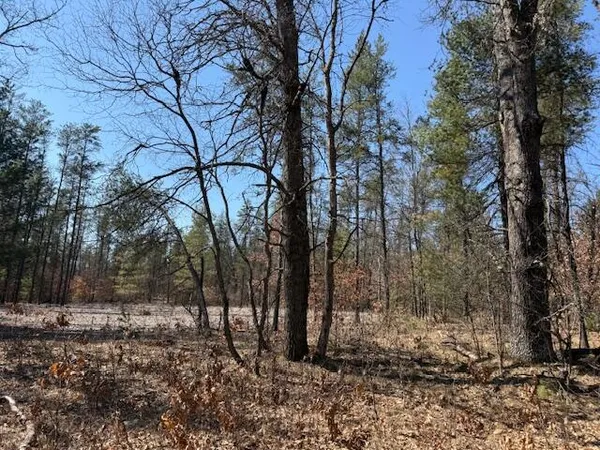 $45,000 | 5209 South Nelson Road, Idlewild, MI 49642