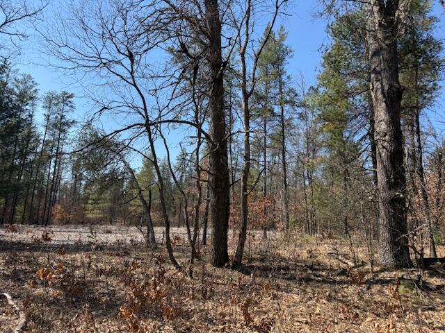 5209 South Nelson Road Idlewild, MI 49642 - Photo 8 of 15 IMG_5527