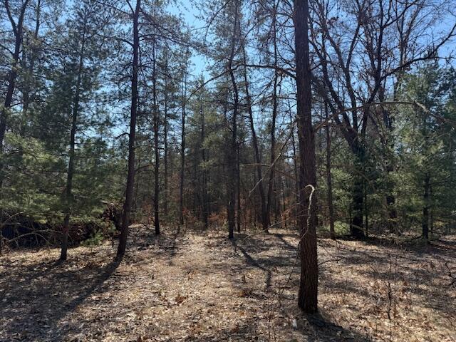 5209 South Nelson Road Idlewild, MI 49642 - Photo 9 of 15 IMG_5528