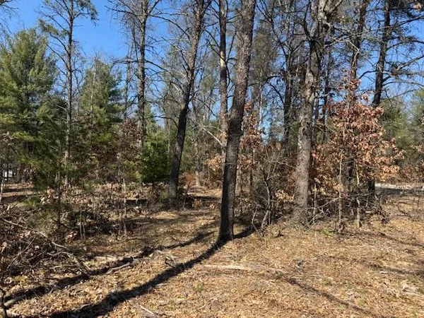 $45,000 | 5209 South Nelson Road, Idlewild, MI 49642