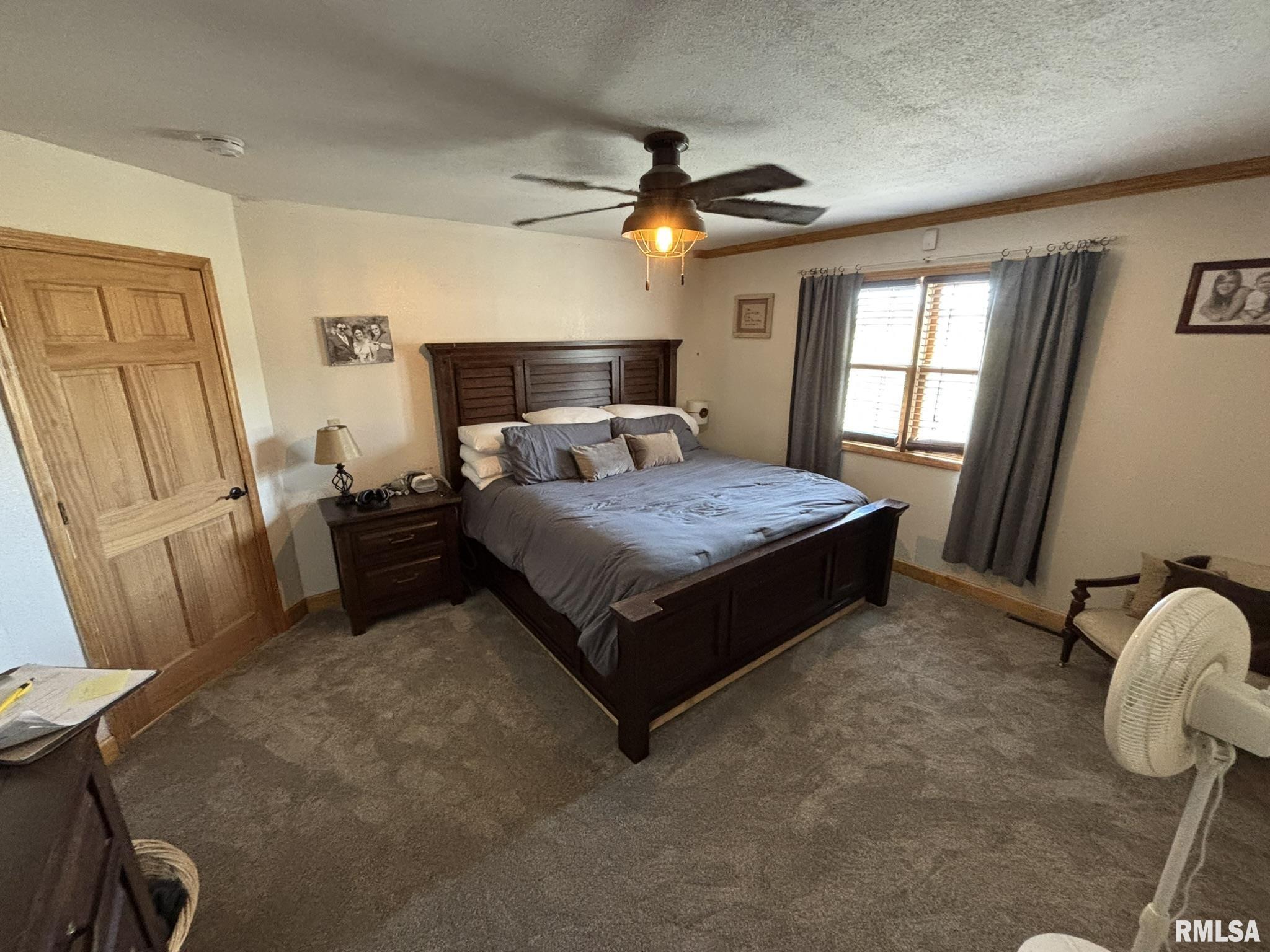 2924 Red Stripe Road Odin, IL 62870 - Photo 20 of 34