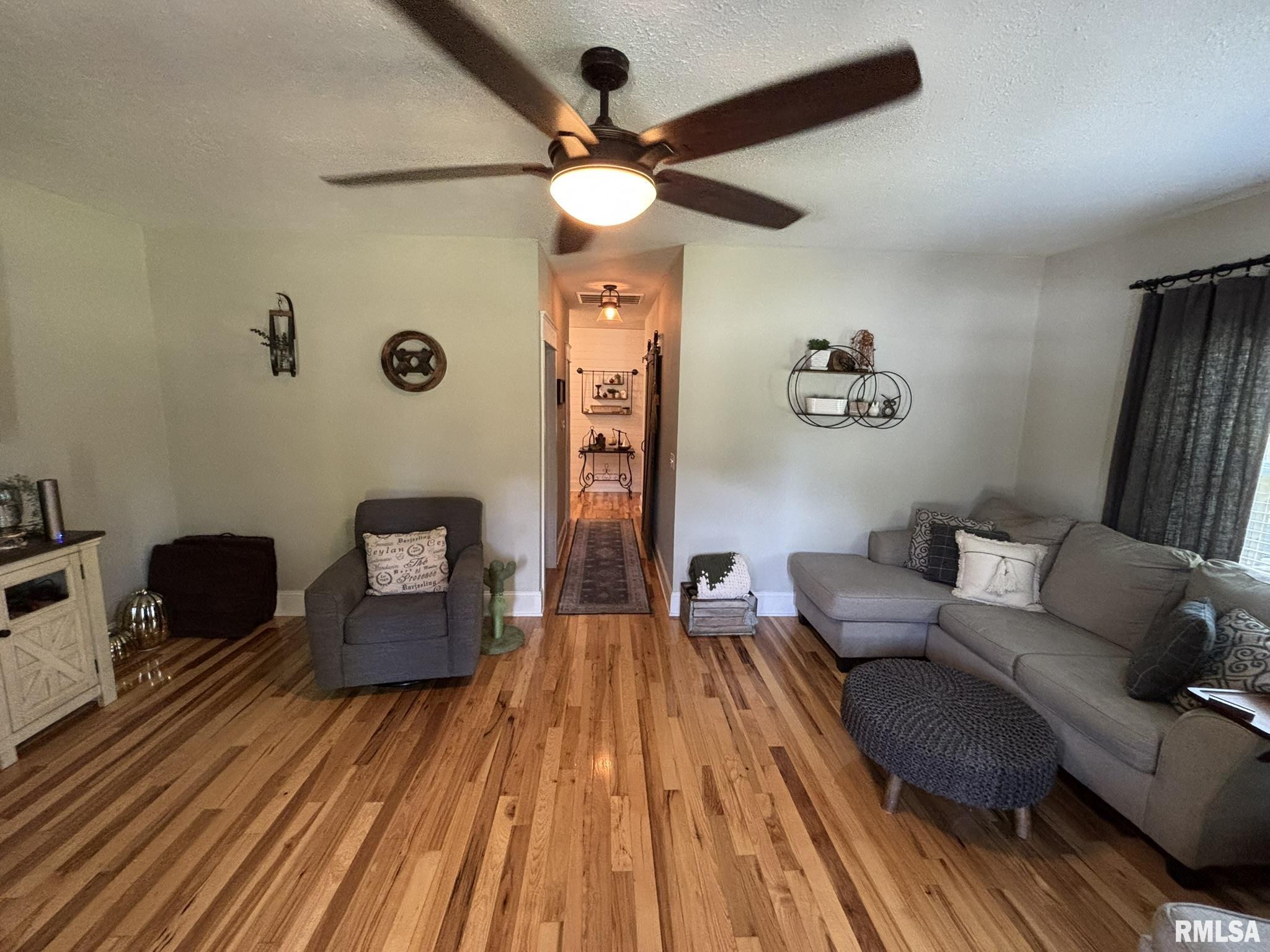 2924 Red Stripe Road Odin, IL 62870 - Photo 2 of 34