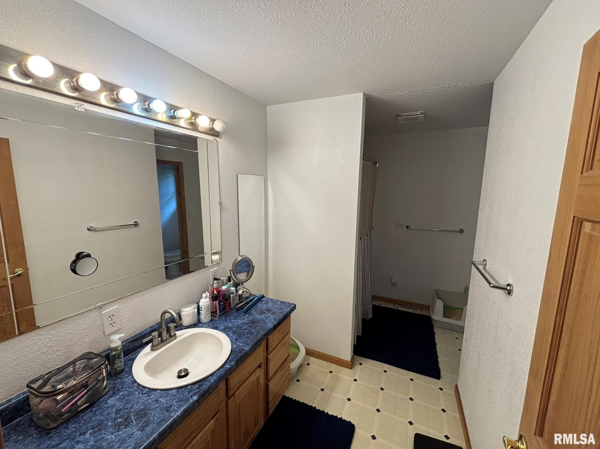 2924 Red Stripe Road Odin, IL 62870 - Photo 21 of 34