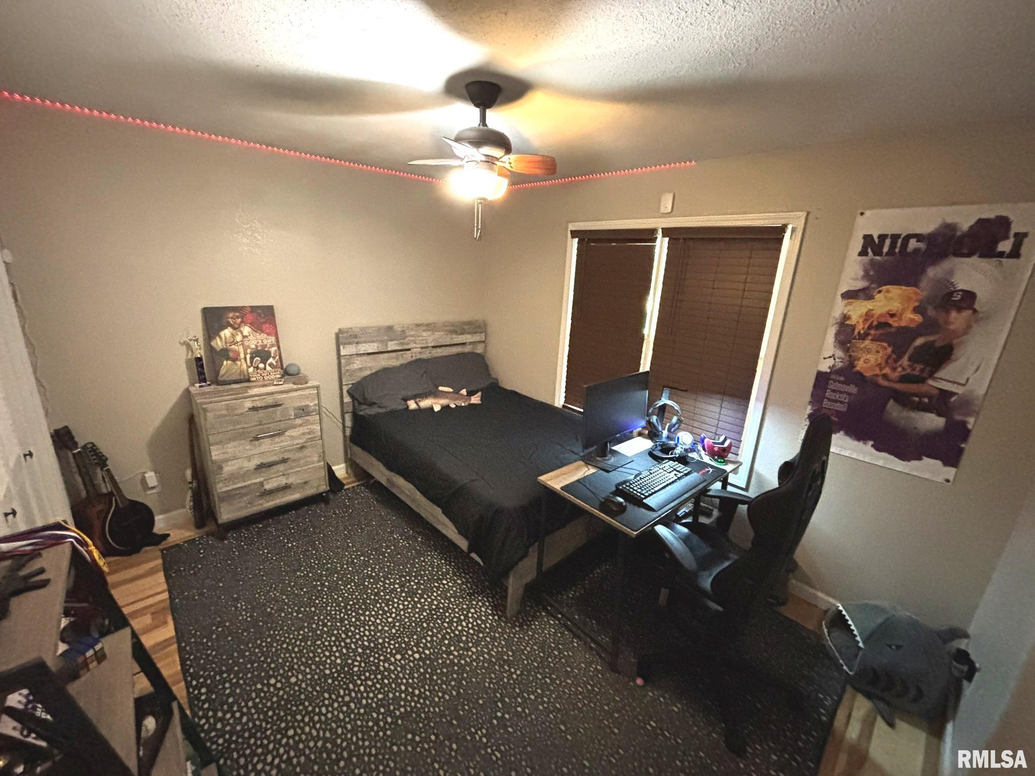 2924 Red Stripe Road Odin, IL 62870 - Photo 23 of 34