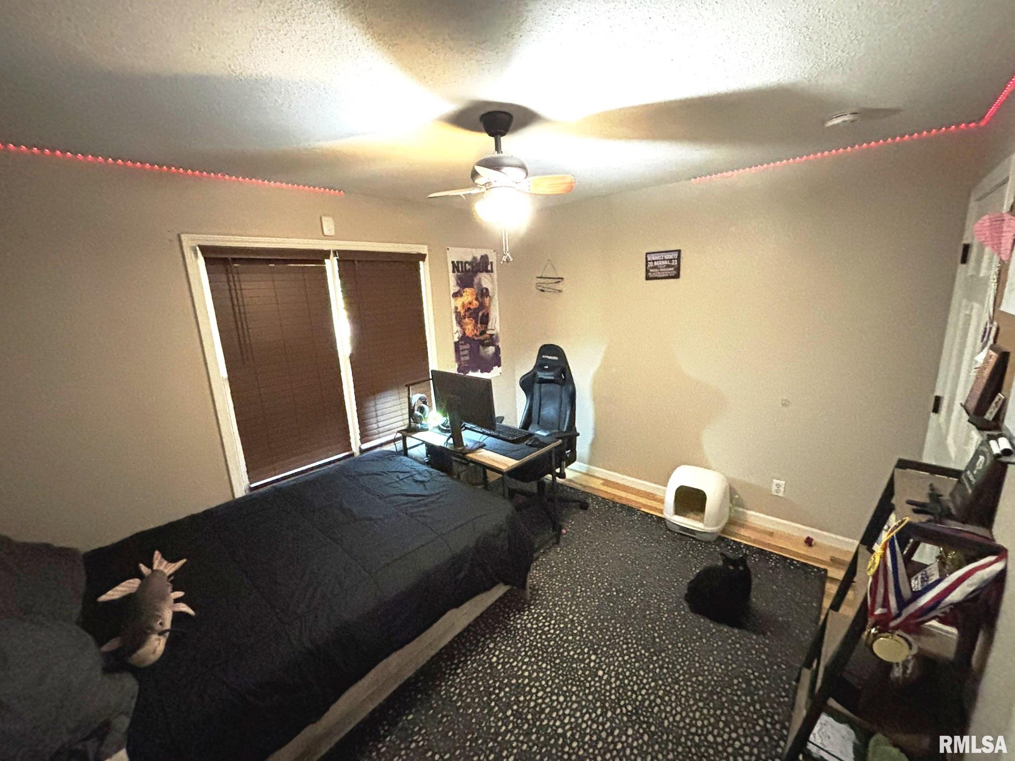 2924 Red Stripe Road Odin, IL 62870 - Photo 24 of 34