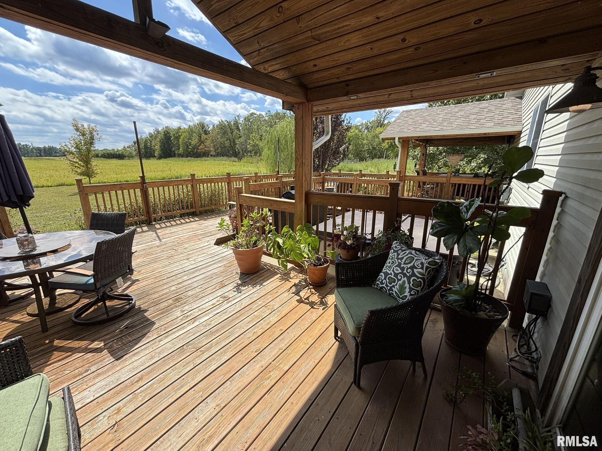 2924 Red Stripe Road Odin, IL 62870 - Photo 28 of 34