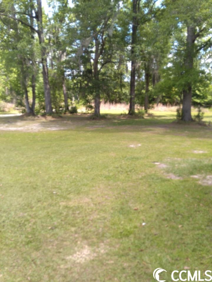 9570 Gapway Road Andrews, SC 29510 - Photo 2 of 12 Gallery Image 2