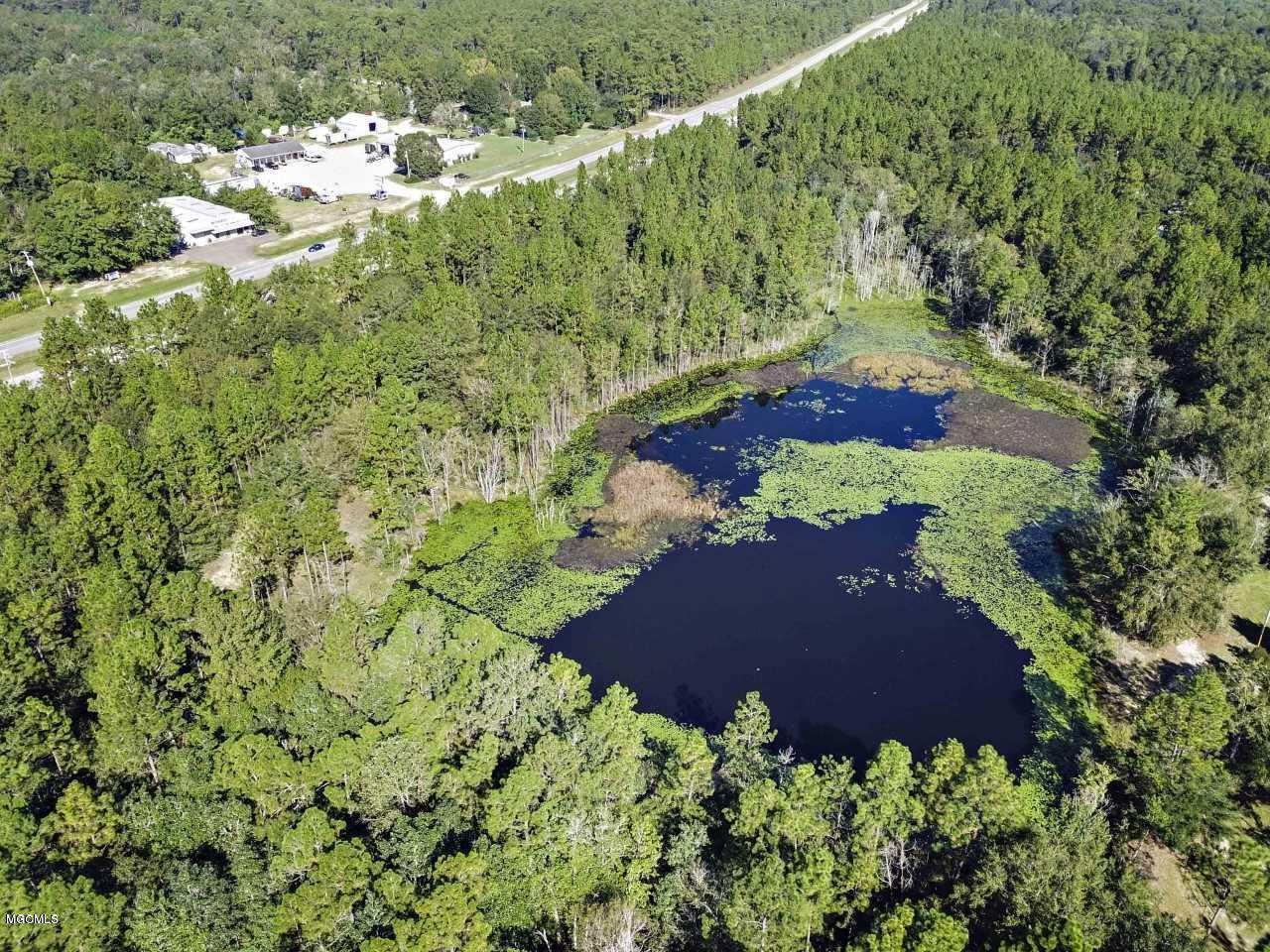17189 F Taylor Road Saucier, MS 39574 - Photo 1 of 7 Natural 3 acre lake