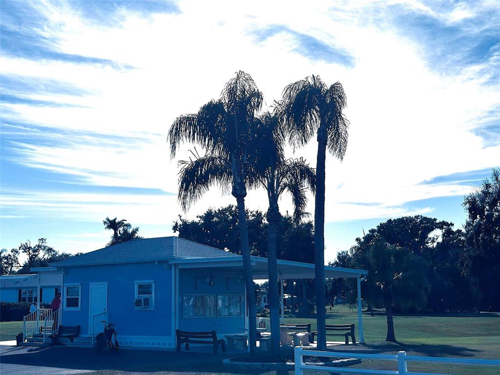 1100 South Belcher Road, Unit 508 Largo, FL 33771 - Photo 28 of 37 a view of a house with a yard and potted plants