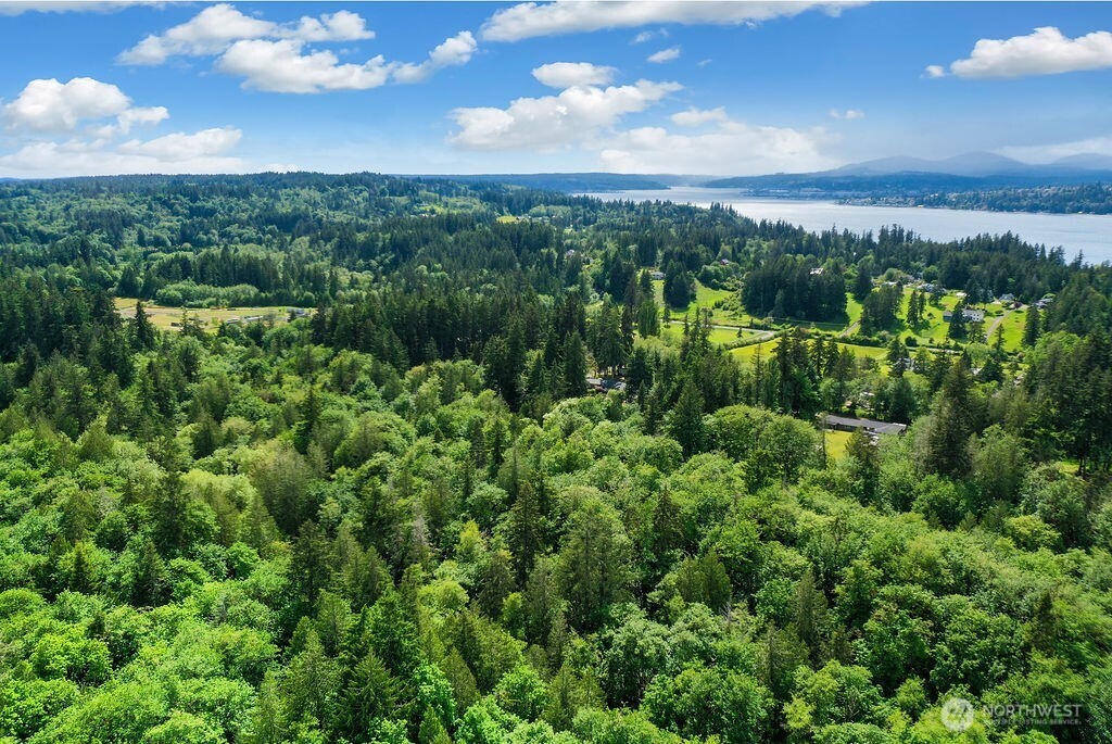 7817 East Hilldale Road Port Orchard, WA 98366 - Photo 24 of 24 a view of a city with lush green forest