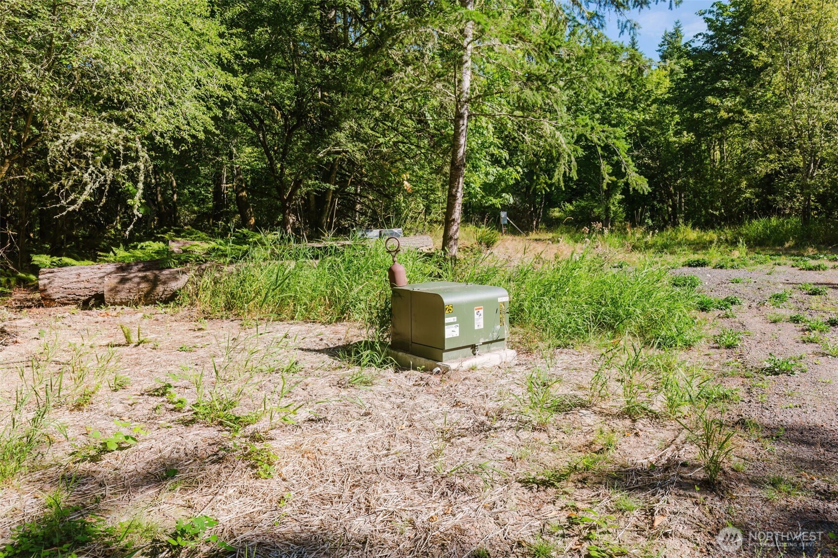 7817 East Hilldale Road Port Orchard, WA 98366 - Photo 10 of 24 a bench is sitting in the middle of a yard