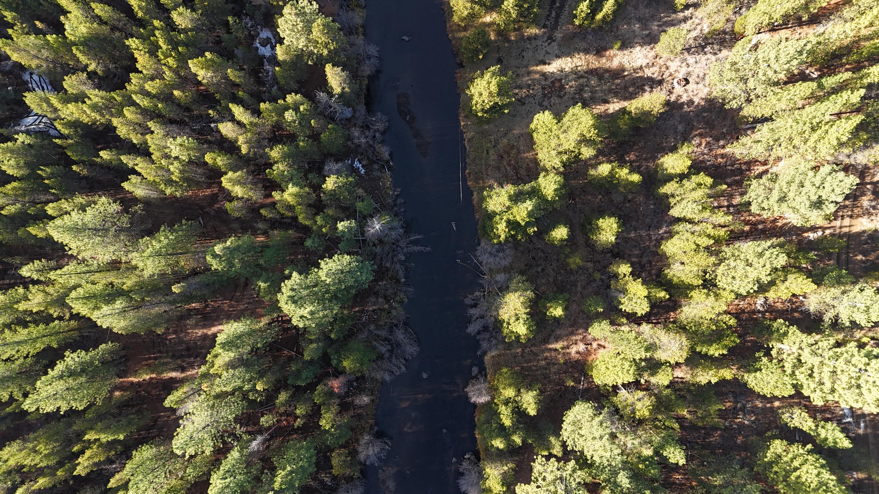 Franks Creek Road Monument, OR 97864 - Photo 13 of 29 DJI_20241108151437_0739_D