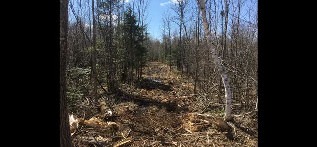 $98,000 | 25 Itasca County 25, Floodwood, MN 55736