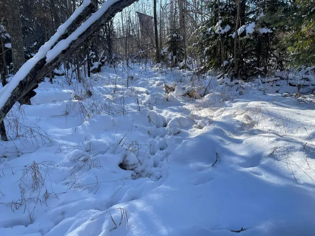 $98,000 | 25 Itasca County 25, Floodwood, MN 55736