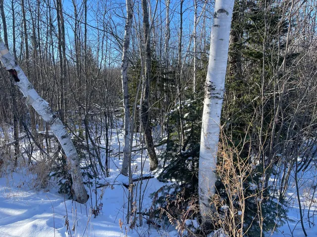 $98,000 | 25 Itasca County 25, Floodwood, MN 55736