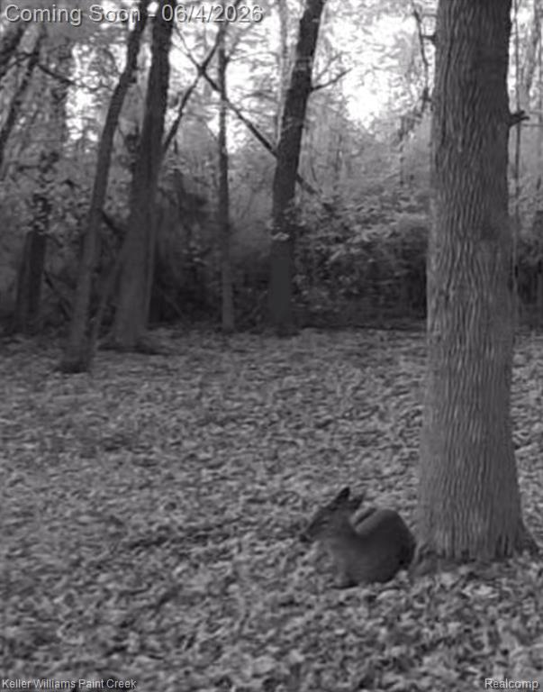 2942 Tatham Road Saginaw, MI 48601 - Photo 56 of 59