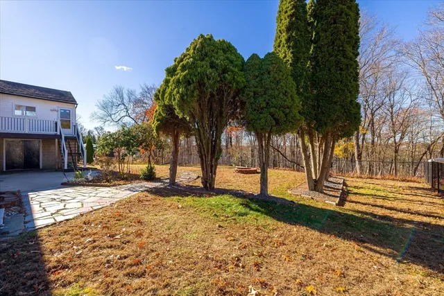 a view of a yard with tree s