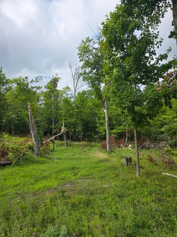 $200,000 | 14635 Anjonabe Court Southeast, Bemidji, MN 56601